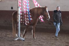 Bodenarbeit+Gelassenheitstraining